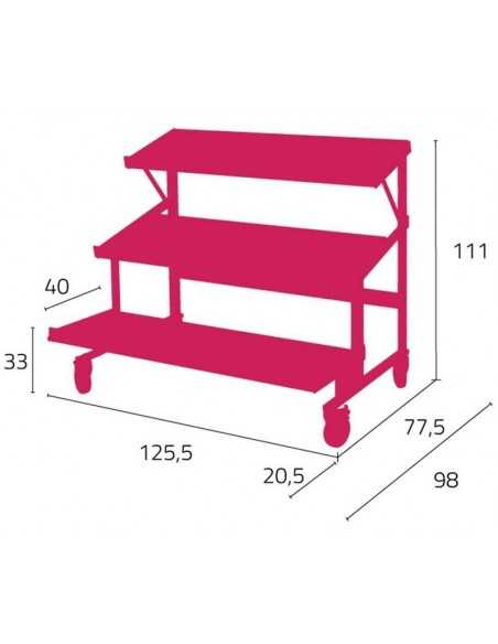 Estantes inclinados - Para frutas y verduras - estantes 2+1 - Con ruedas - cm 125.5 x 98 x 111h