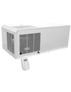 Monobloque de techo - Temperatura negativo -20°C - Gas...