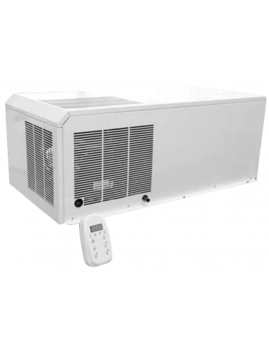 Ceiling monobloc - Negative temperature -20°C -...