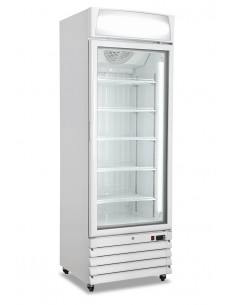 Freezer cabinet - Glass door - Motorcycle -...