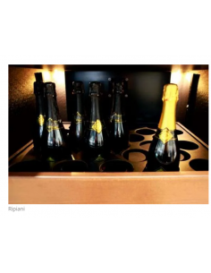 Wine glass - Refrigeration Static - Multizone -... 2