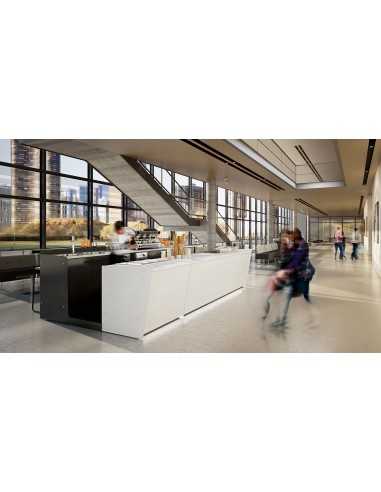 Bar counter and back counter with Panorama ice...