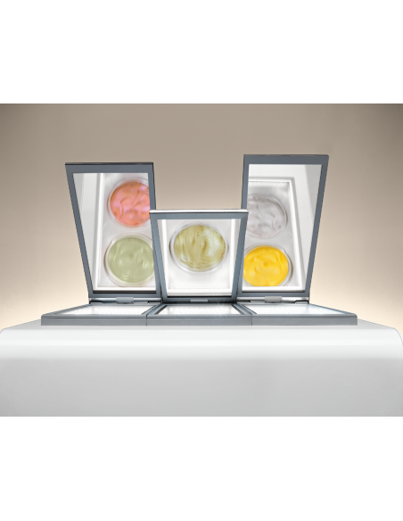 Pozzetto gelati - Model BIT PANS - Capacity 2/3/6 trays - Ventilated - Temperature -2°C-18°C - Cm 68 x 77.9 x 87 h