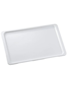Polyester tray - Flat edge - GLASS model - EN - N.20...