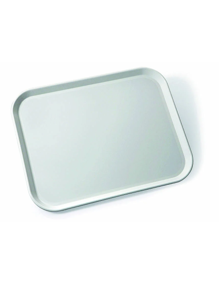 Bandeja de poliéster - Rectangular - Esquinas redondeadas - N.24 piezas - Dimensiones cm 46 x 36