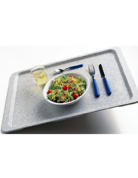 Non-slip polyester tray - EN - N. 20 pieces - Dimensions 53 x 37 cm