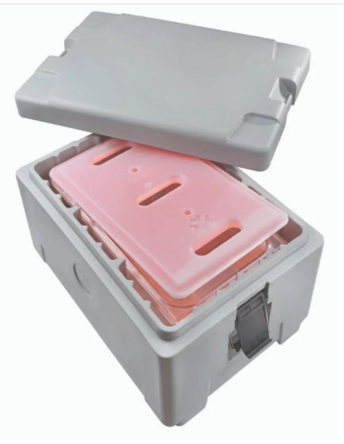 Contenitore isotermico - Per alimenti -...