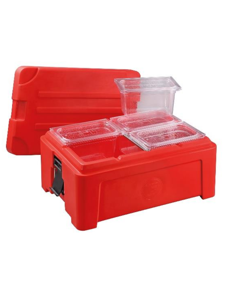 Contenitore isotermico - Per alimenti - Capacità 24.5 litri - Utilizzo da -30° C a +100 °C - cm 41 x 61 x 25 h