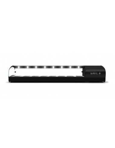 Vitrina refrigerada - Temperatura +2°/ +6°C -...