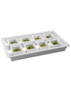 Bandeja GN 1/1 blanca - Dimensiones 53 x 32,5 cm - Varias... 2