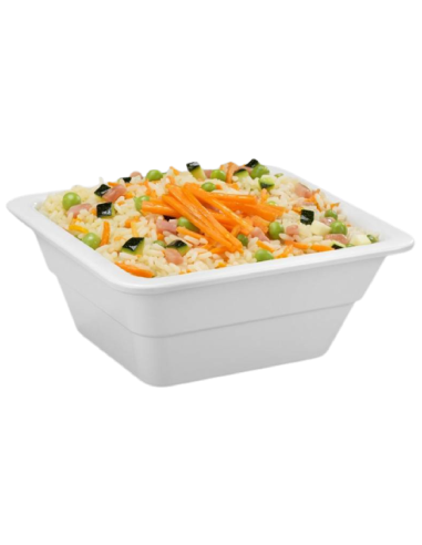 Bandeja GN 1/6 blanca - Dimensiones 17,6 x 16,2...