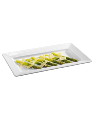 Cuenco rectangular