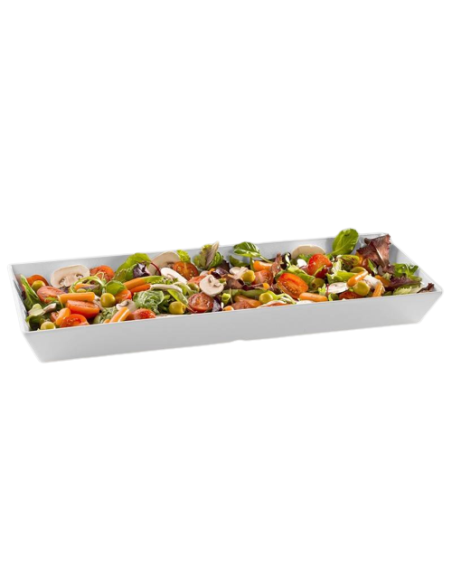 Rectangular tray - Dimensions cm 50 x 20 x 5 h