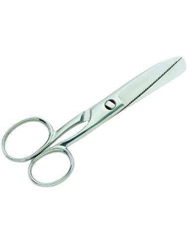 Fish scissors - Stainless steel - Can be disassembled - Depth 18 cm
