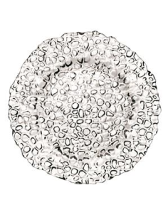 Piatto frutta - Dimensioni Ø 21 cm