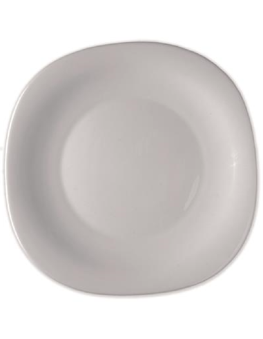 Plato llano - 9 1/4 oz - Dimensiones 31x31 cm