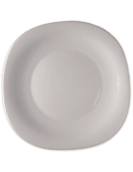 Flat Plate - 12 3/4 Oz - Dimensions 20 x 20 cm