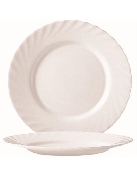 Flat plate - Dimensions 24.5 cm