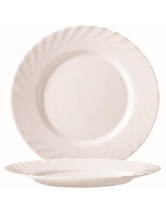 Flat plate - Dimensions 19.5 cm 2
