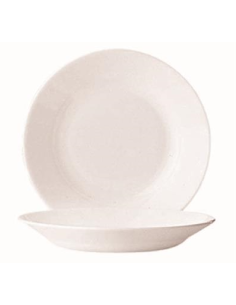 Flat plate - Dimensions 19.5 cm 2