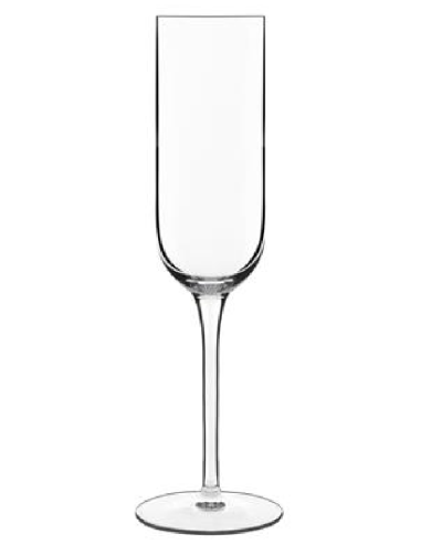 Copa de champán 21 cl - 7 oz - Dimensiones Ø...