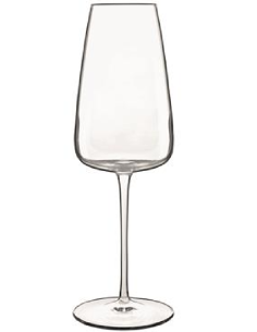 Champagne glass 40 cl - Oz 13 1/2 - Dimensions Ø 7.8 cm x...