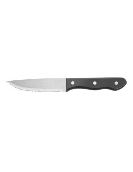 XL Steak Knife - 6 Pieces - Length 250 mm