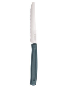 Coltello tavola - Colore verde ottanio - Acciaio