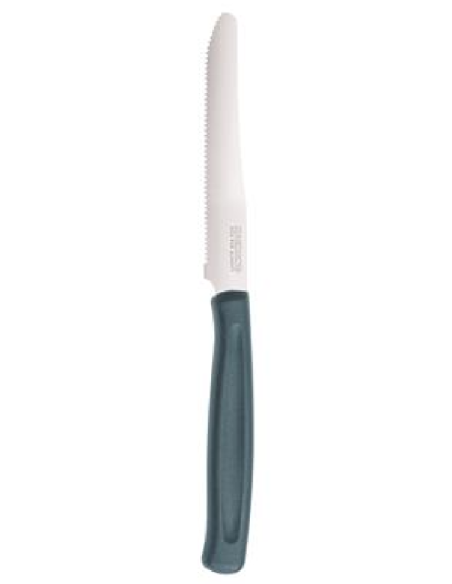 copy of Cuchillo para carne - Dentado - Acero - Dimensiones 23 cm